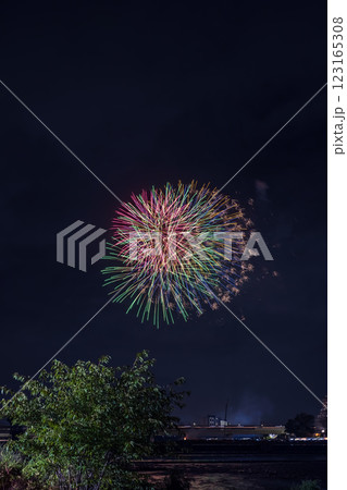 多摩川花火大会　関東 123165308
