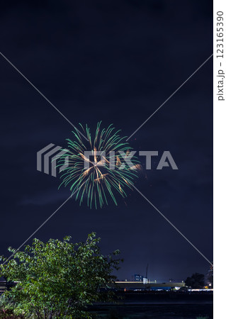 多摩川花火大会　関東 123165390