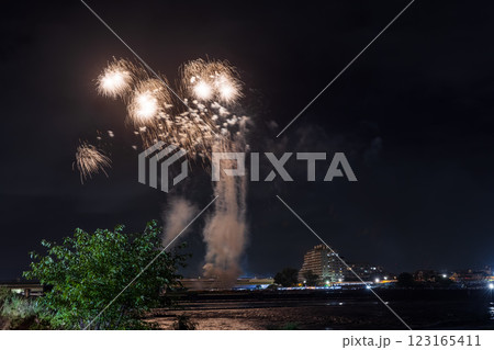 多摩川花火大会　関東 123165411