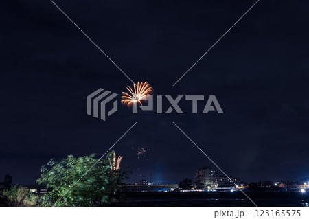 多摩川花火大会　関東 123165575