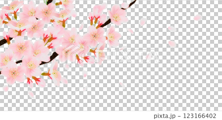 枝に咲く桜の花のイラストセット 123166402