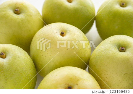 秋の味覚20世紀梨 123166486
