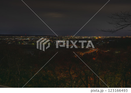 浜松市の鳥羽山公園展望台から見た夜景と街並み(静岡県) 浜松市の鳥羽山公園展望台から見た夜景と街並み(静岡県) 123166493