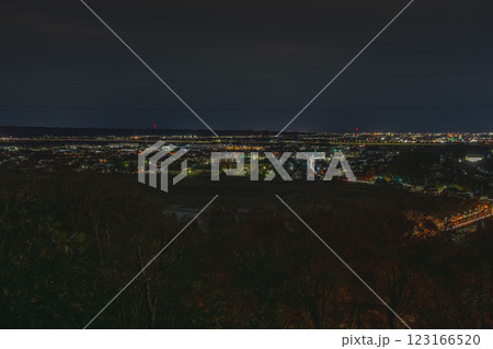 浜松市の鳥羽山公園展望台から見た夜景と街並み(静岡県) 浜松市の鳥羽山公園展望台から見た夜景と街並み(静岡県) 123166520
