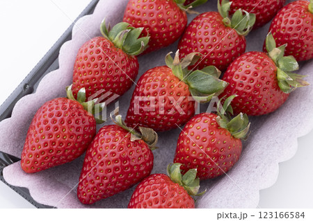 パック詰めの苺 あまりん パック詰めの苺 あまりん 123166584