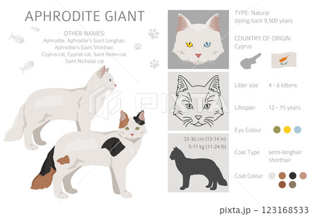 Aphrodite Giant. Cyprus cat clipart. All coat colors set. All cat breeds characteristics infographic Aphrodite Giant. Cyprus cat clipart. All coat colors set. All cat breeds characteristics infographic 123168533