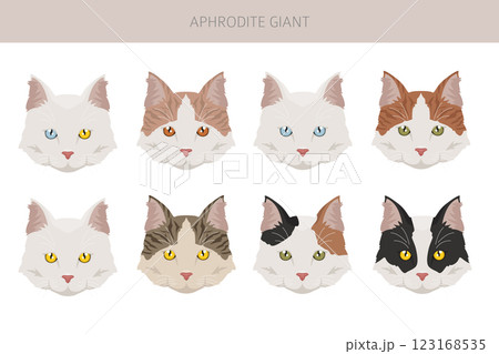 Aphrodite Giant. Cyprus cat clipart. All coat colors set. All cat breeds characteristics infographic Aphrodite Giant. Cyprus cat clipart. All coat colors set. All cat breeds characteristics infographic 123168535