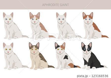 Aphrodite Giant. Cyprus cat clipart. All coat colors set. All cat breeds characteristics infographic Aphrodite Giant. Cyprus cat clipart. All coat colors set. All cat breeds characteristics infographic 123168536