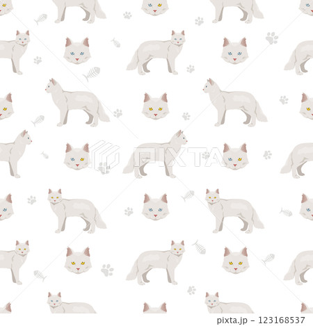 Aphrodite Giant. Cyprus cat seamless pattern. All coat colors set. All cat breeds characteristics infographic Aphrodite Giant. Cyprus cat seamless pattern. All coat colors set. All cat breeds characteristics infographic 123168537
