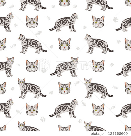 American Shorthair cat seamless pattern. All coat colors set. All cat breeds characteristics infographic American Shorthair cat seamless pattern. All coat colors set. All cat breeds characteristics infographic 123168609