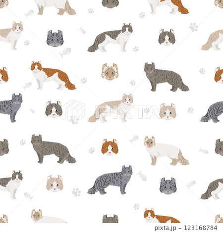 American Curl cat seamless pattern. All coat colors set. All cat breeds characteristics infographic American Curl cat seamless pattern. All coat colors set. All cat breeds characteristics infographic 123168784