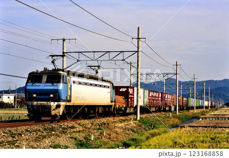 2006年　東海道本線を走るEF200-18コンテナ貨物列車 123168858