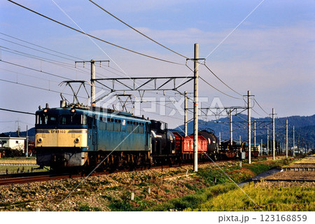 2006年　東海道本線を走るEF65103配給列車 123168859