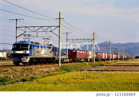 2006年　東海道本線を走るEF210-10コンテナ貨物列車 123168864