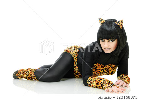 like a cat like a cat 123168875