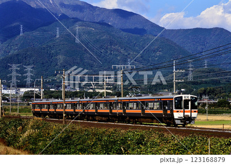 2006年 東海道本線を走る311系普通電車4両 2006年 東海道本線を走る311系普通電車4両 123168879