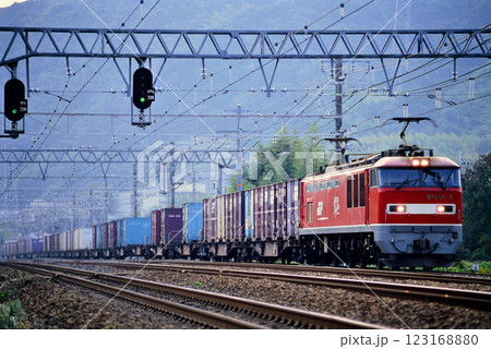 2006年　東海道本線を走るEF510-6コンテナ貨物列車 123168880