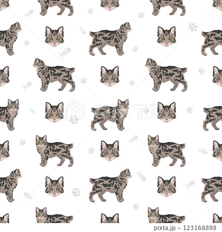American Bobtail cat seamless pattern. All coat colors set.  All cat breeds characteristics infographic 123168898