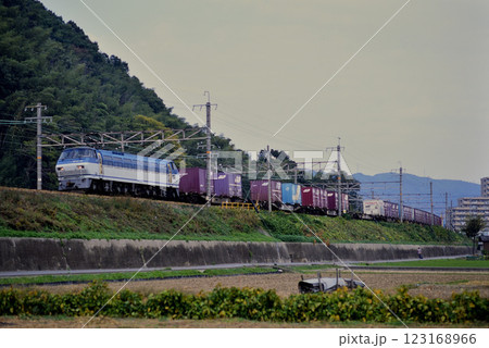 2006年　東海道本線を走るEF66121コンテナ貨物列車 123168966