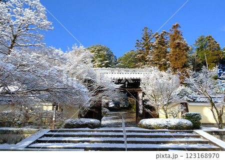 雪の粟生光明寺 123168970