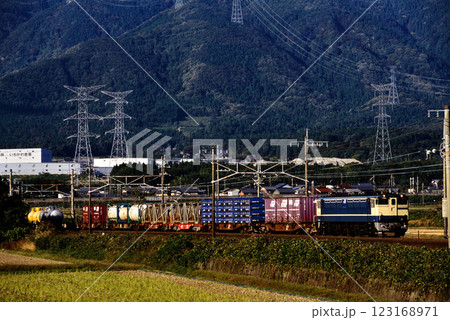 2006年　東海道本線を走るEF651056コンテナ貨物列車 123168971