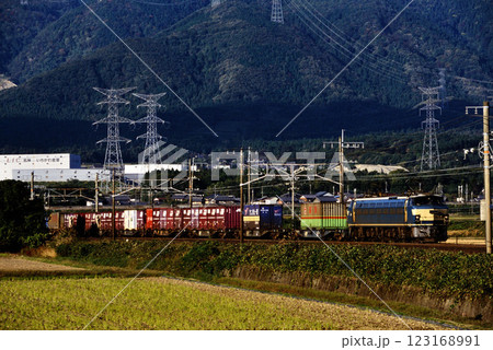 2006年 東海道本線を走るEF66コンテナ貨物列車 2006年 東海道本線を走るEF66コンテナ貨物列車 123168991