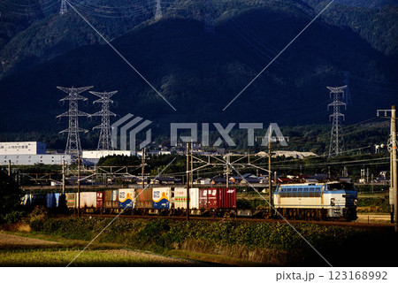 2006年　東海道本線を走るEF6612コンテナ貨物列車 123168992