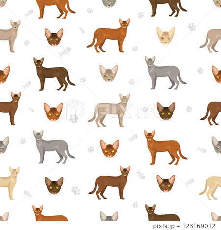 Abyssinian cat seamless pattern. All coat colors set.  All cat breeds characteristics infographic 123169012