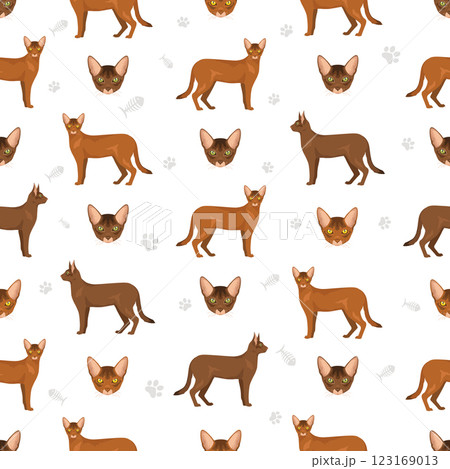 Abyssinian cat seamless pattern. All coat colors set.  All cat breeds characteristics infographic 123169013