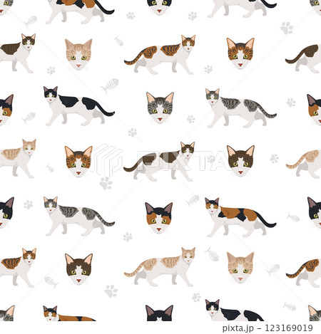 Aegean cat seamless pattern. All coat colors set.  All cat breeds characteristics infographic Aegean cat seamless pattern. All coat colors set.  All cat breeds characteristics infographic 123169019