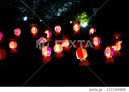 夜のアジアンなランタン（春節） 123169906