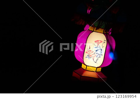夜のアジアンなランタン（春節） 123169954