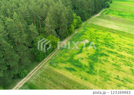 View from above of countryside. View of cultivated fields and green forest in summer. Rural landscape background 123169983