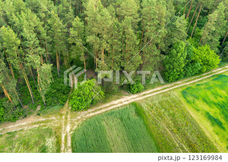 View from above of countryside. View of cultivated fields and green forest in summer. Rural landscape background View from above of countryside. View of cultivated fields and green forest in summer. Rural landscape background 123169984