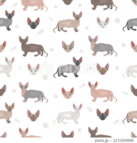 Bambino cat, Munchkin Sphynx mix seamless pattern. All coat colors set. All cat breeds characteristics infographic Bambino cat, Munchkin Sphynx mix seamless pattern. All coat colors set. All cat breeds characteristics infographic 123169998