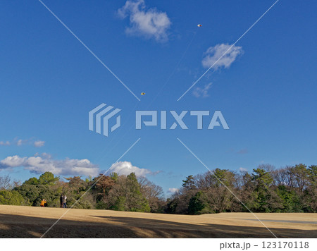 青空の下で凧あげ 123170118