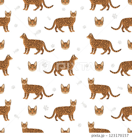 Bengal Cat seamless pattern. All coat colors set. All cat breeds characteristics infographic Bengal Cat seamless pattern. All coat colors set. All cat breeds characteristics infographic 123170157