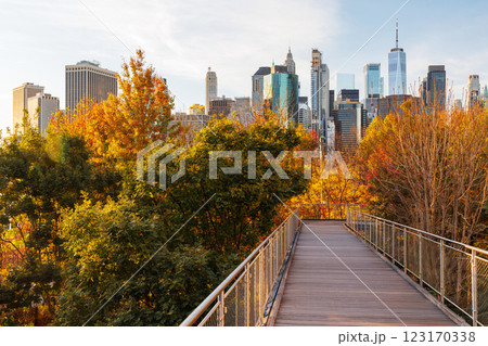 The New York Manhattan skyline during autumn 123170338