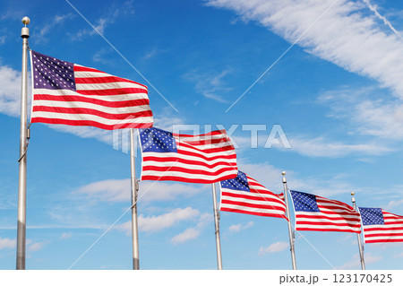 Rows of American flags waving against a sunny sky 123170425