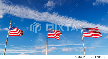 Rows of American flags waving against a sunny sky 123170427