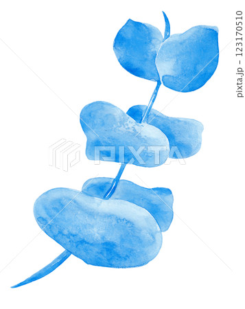 Eucalyptus. Watercolor illustration. Decorative blue flower for your design. Perfect for decorating cards, wedding invitations, tableware and textiles 123170510