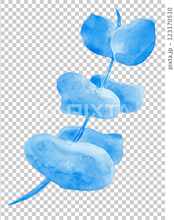 Eucalyptus. Watercolor illustration. Decorative blue flower for your design. Perfect for decorating cards, wedding invitations, tableware and textiles 123170510
