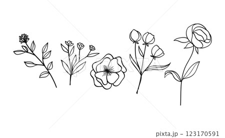 Botanical line art with flowers and leaves set.Vector illustration Botanical line art with flowers and leaves set.Vector illustration 123170591