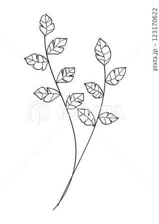 Tree branch botanical line art nature drawing Tree branch botanical line art nature drawing 123170622