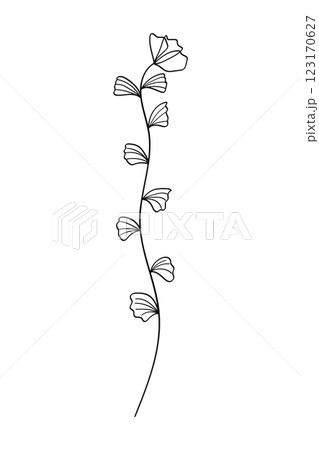 Linear plant branch hand drawing.Vector illustration 123170627