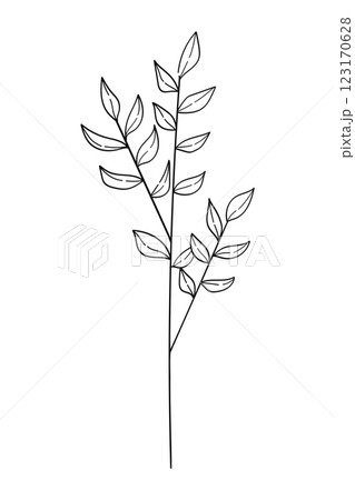 Tree branch with flowers and leaves isolated on white background. Hand-drawn vector illustration in doodle style. 123170628