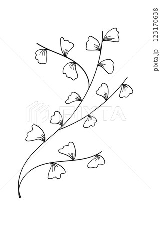 Hand drawn creeper plant line art .Vector illustration. 123170638