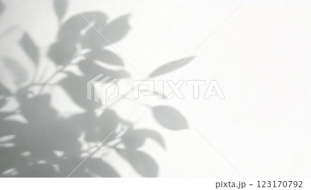 白い壁に映る葉の影 ナチュラルでおしゃれな背景素材 コピースペース ポートフォリオ用タイトル横 白い壁に映る葉の影 ナチュラルでおしゃれな背景素材 コピースペース ポートフォリオ用タイトル横 123170792