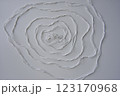 the spiral pattern of the white thread 123170968