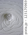 the spiral pattern of the white thread with ball 123170969